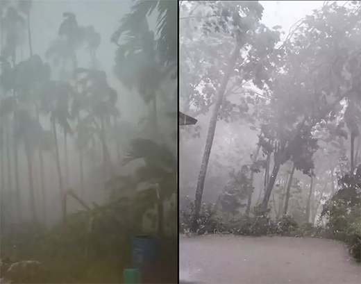 DK rain
